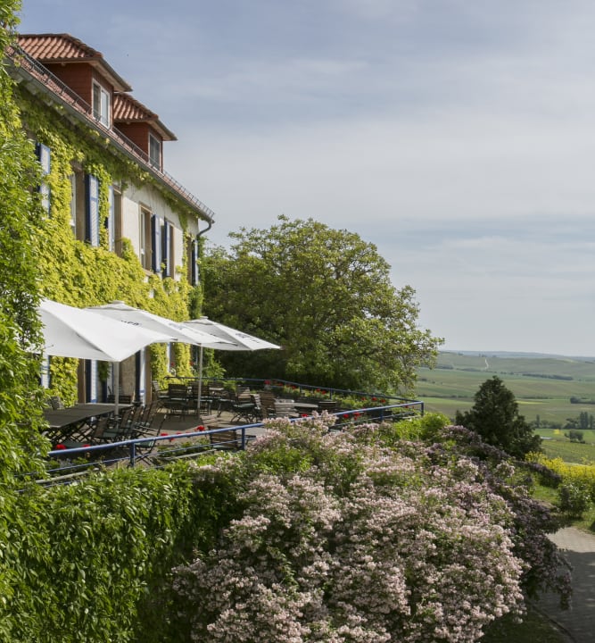 Ausblick Hofgut Wißberg - Das Weinberghotel