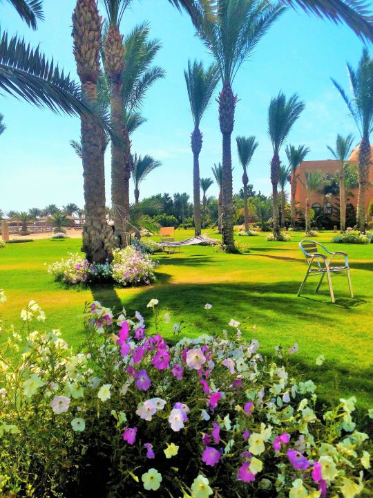 Релакс Stella Garden Resort & Spa, Makadi Bay