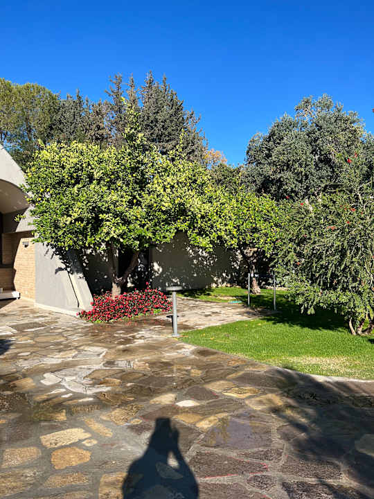 Gartenanlage Arum Barut Collection