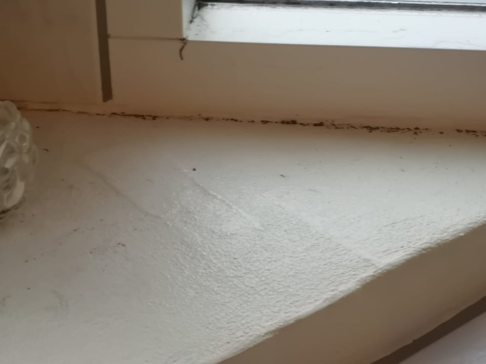 Zimmer Novasol Ferienhäuser