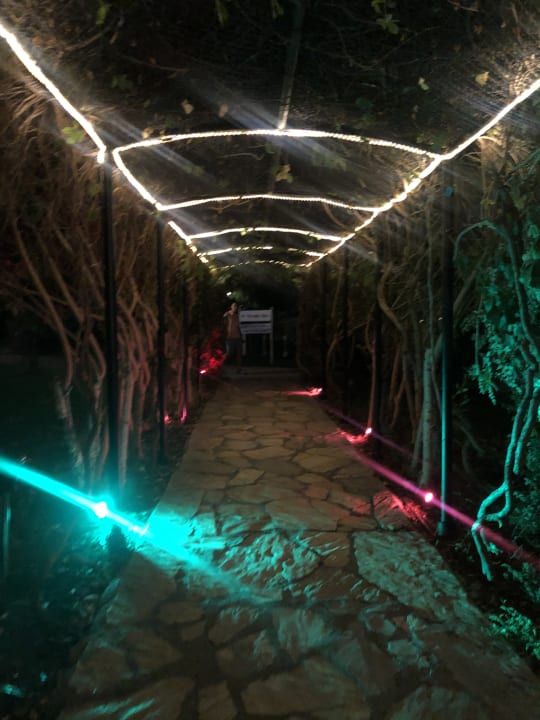 Gartenanlage Belconti Resort Hotel