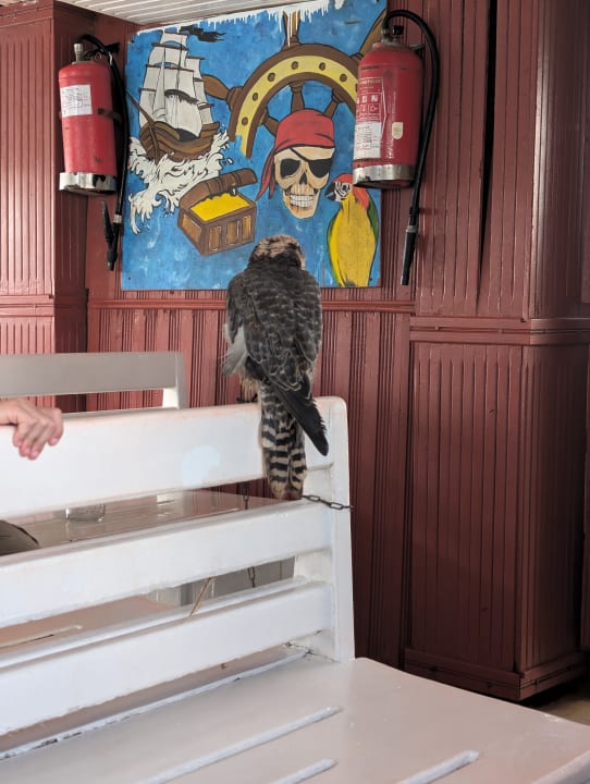 Sport & Freizeit Skanes Serail Aquapark