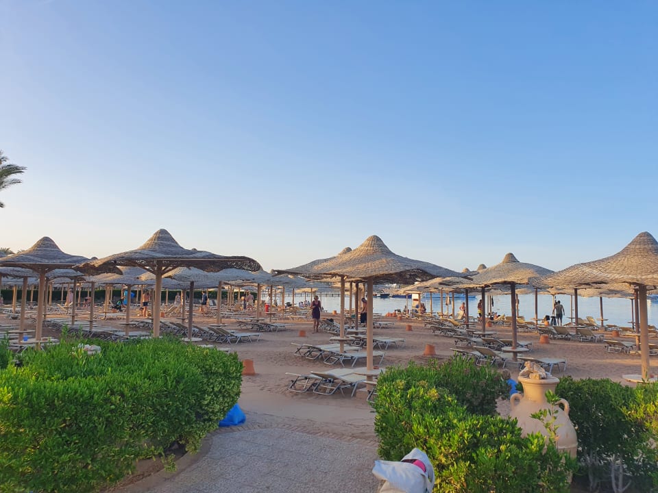 Strand Jaz Makadi Oasis Resort