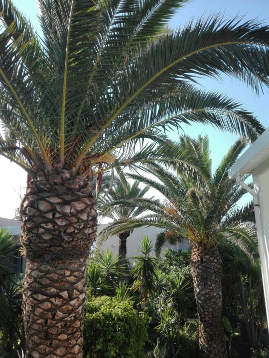 Gartenanlage HARPIN Happy Days Beach Hotel