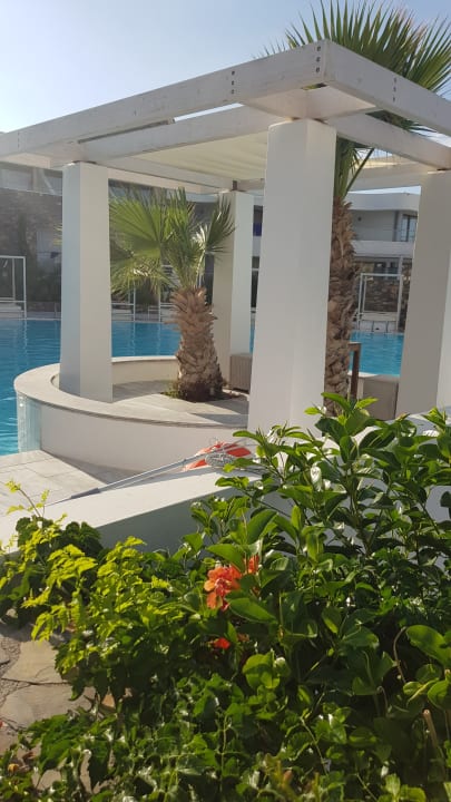 Pool The Island Hotel