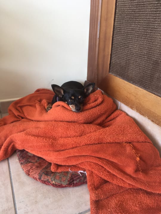 Badem Özlem Garden Hotel