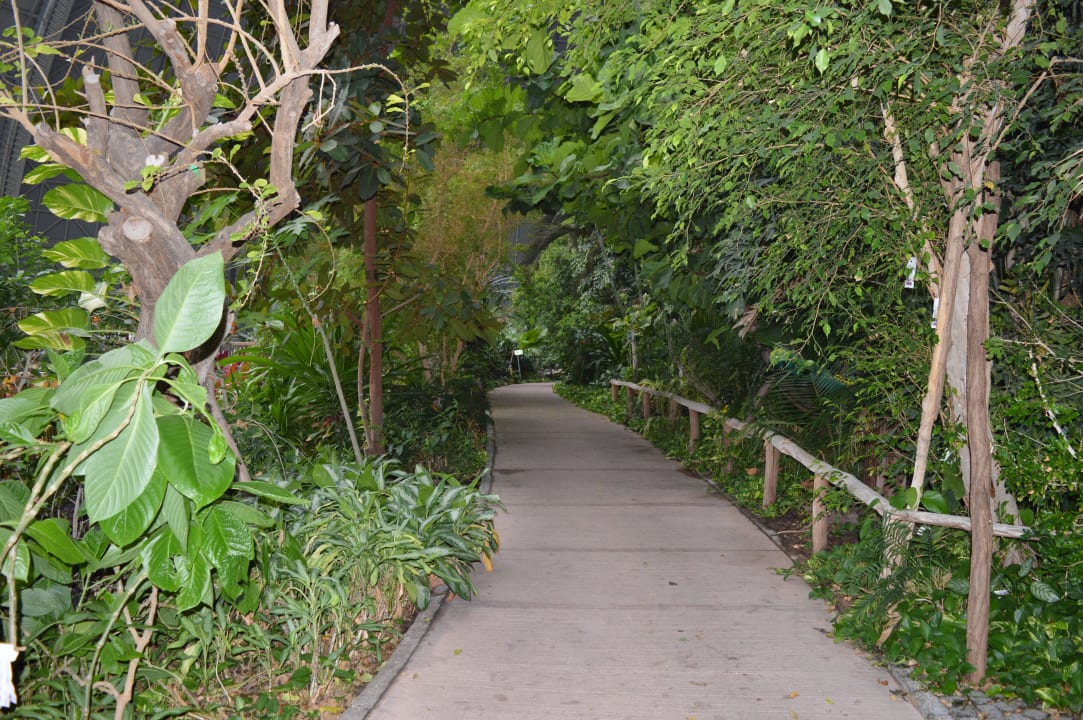 Regenwald Tropical Islands Resort - Campingplatz