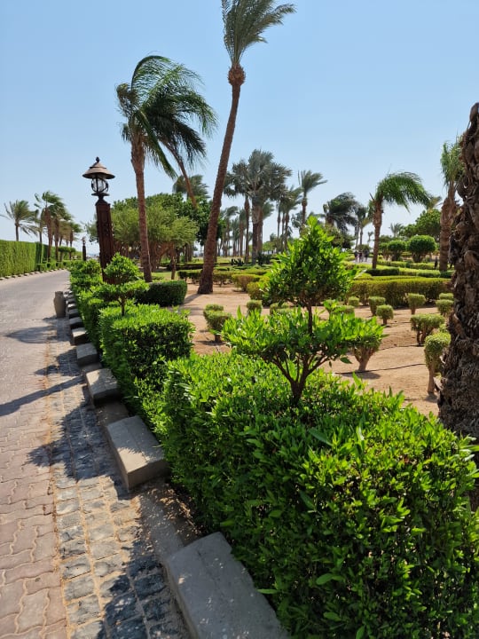 Gartenanlage Steigenberger ALDAU Beach Hotel