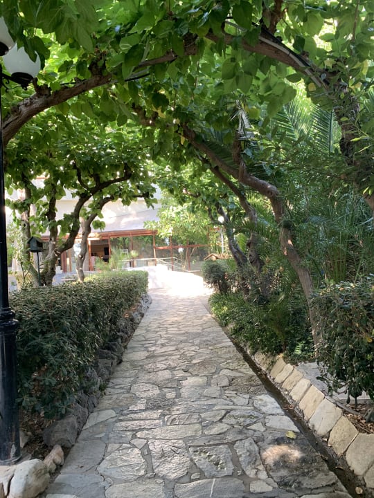 Gartenanlage Apollonia Beach Resort & Spa