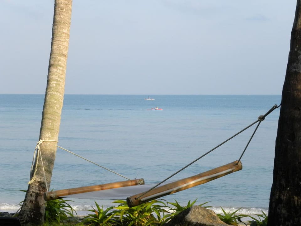 Hauseigene Liegewiese Coconut Tropicana T 1