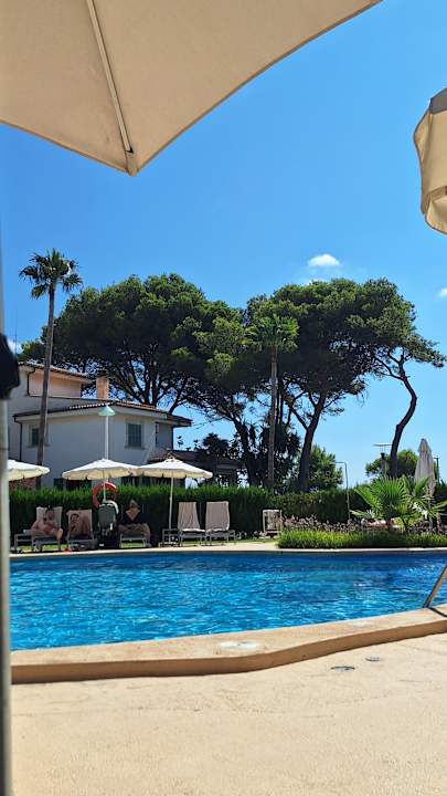 Pool allsun App.-Hotel Orquidea Playa
