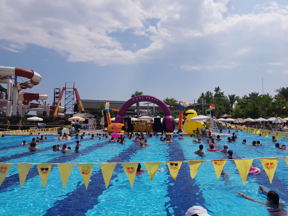 Pool Hotel Delphin Imperial