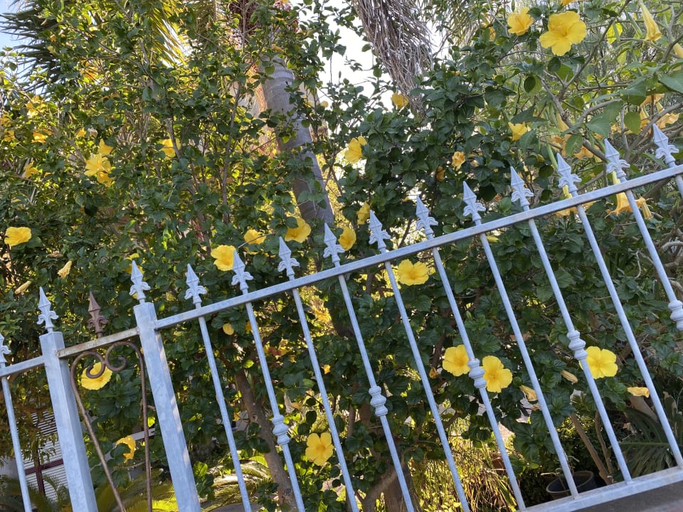 Gartenanlage TUI BLUE Tropea