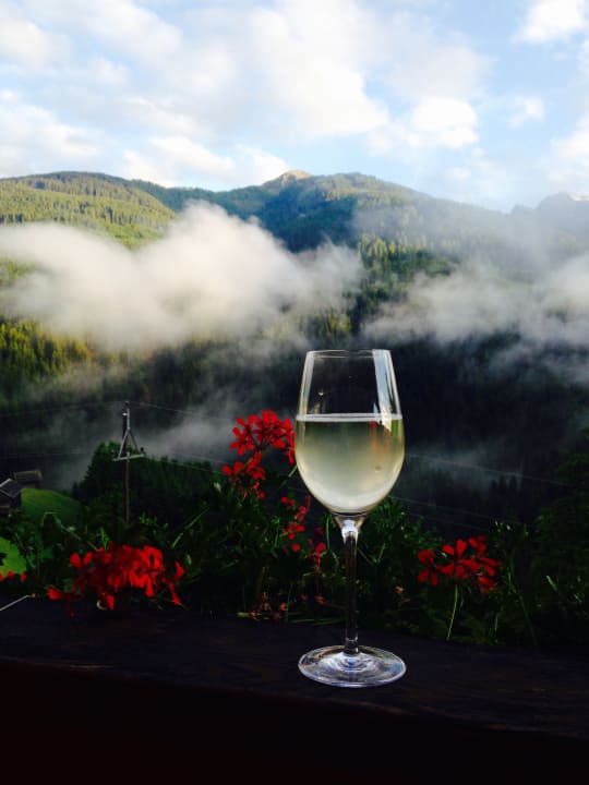 Ausblick Genusshof Mesner Aktiv