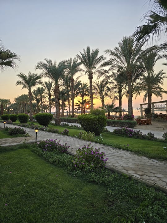 Gartenanlage Brayka Bay Resort