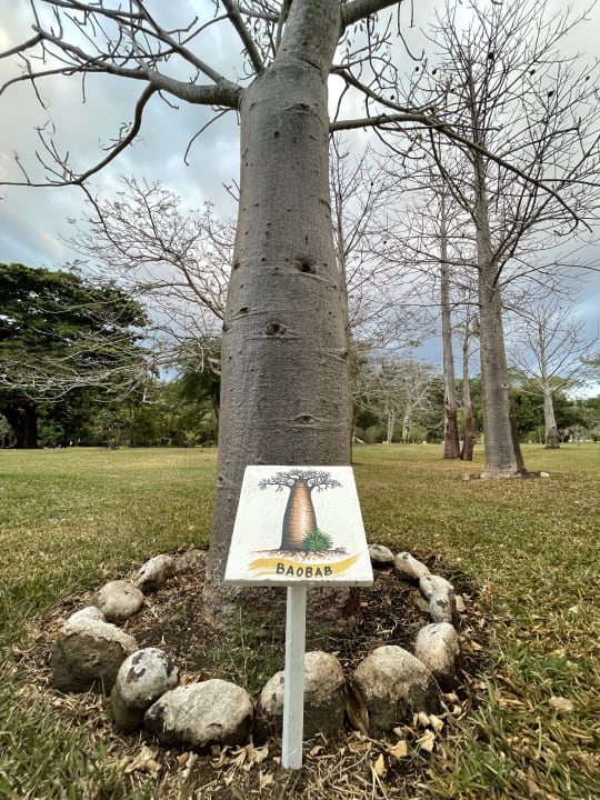 Gartenanlage Andilana Beach Resort