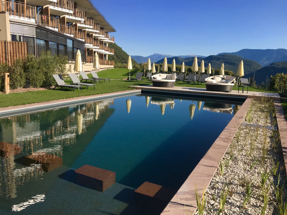 Pool Hotel Plattenhof