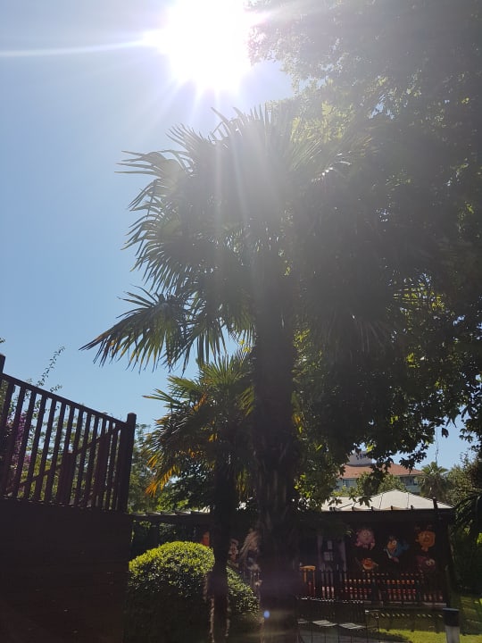 Gartenanlage Side Star Elegance