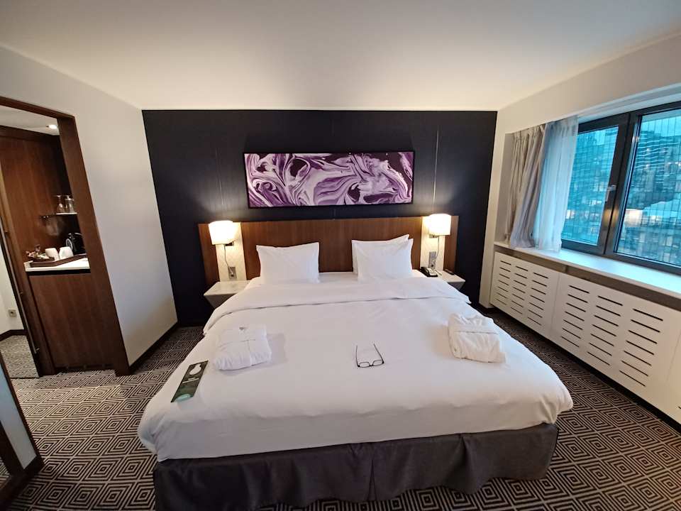 Zimmer Hotel Radisson Blu Lietuva