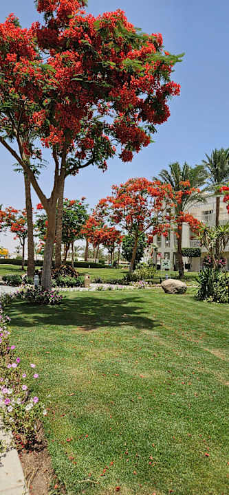 Gartenanlage Jaz Aquaviva