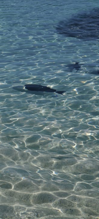 Sonstiges Kuramathi Maldives