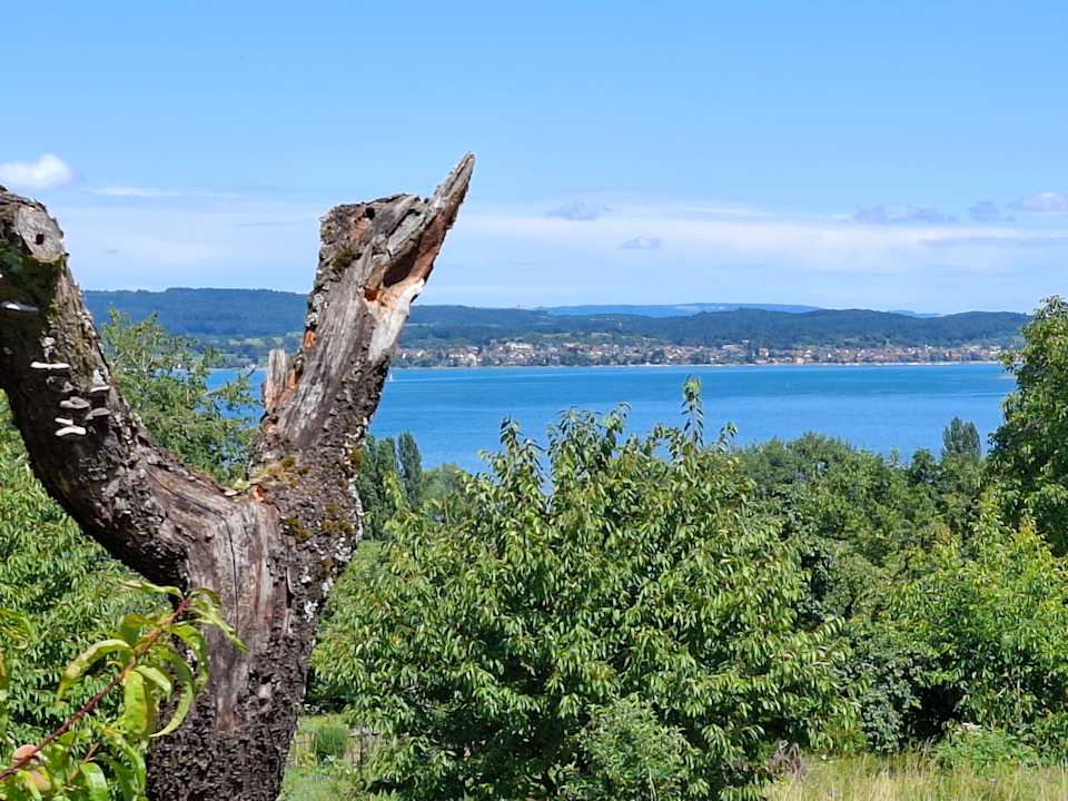 Außenansicht Hotel Hirschen Horn | Refugium am See