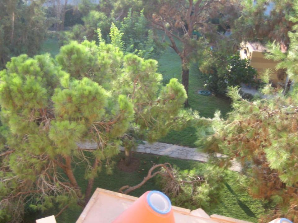 Blick vom Balkon Asteria Collection Side