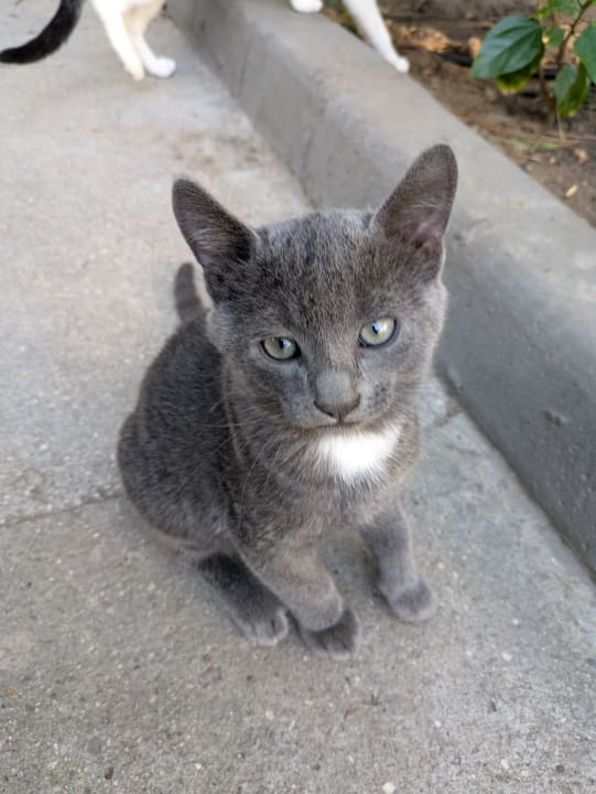 Sonstiges Bodrum Park Resort