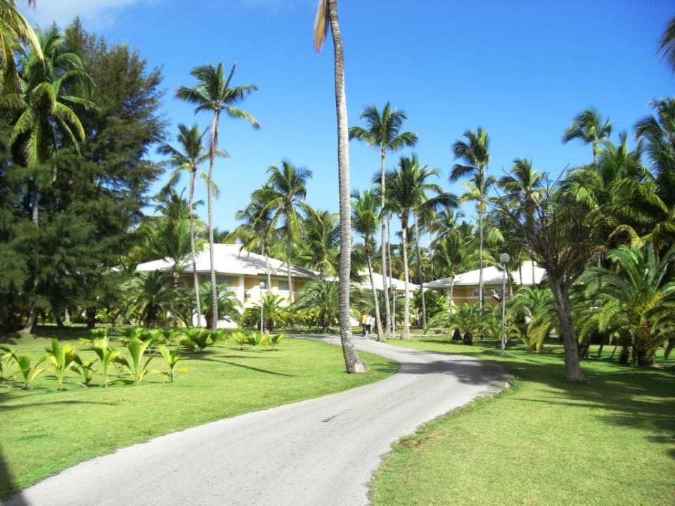 Gartenanlage Palladium Hotel Grand Palladium Palace Resort, Spa & Casino