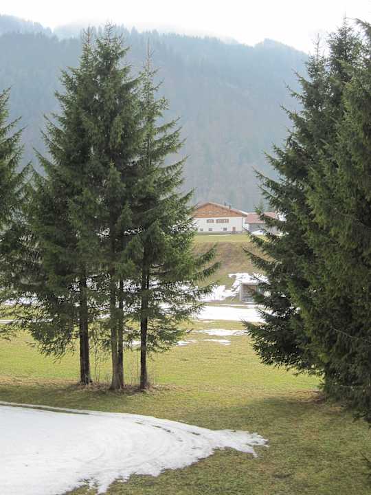 2 Zi. Fewo Blick nach Hinten Pension & Ferienwohnung Solaria