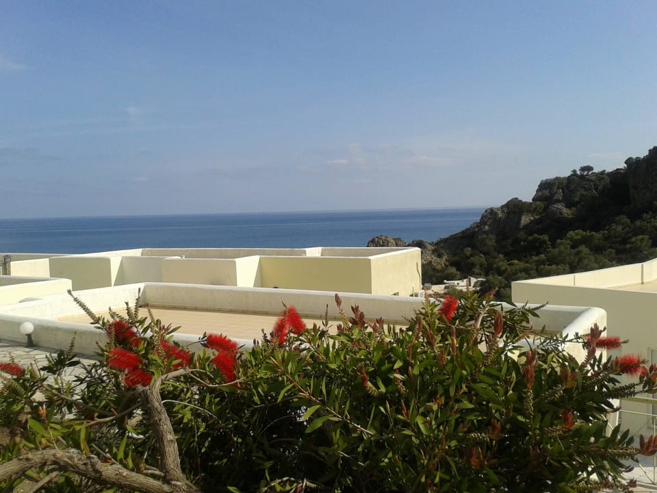 View from yard Hotel Polyrizos