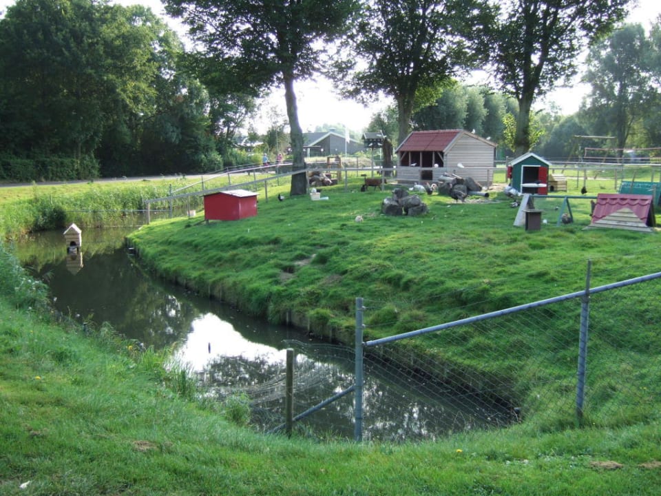 Kleiner Streichelzoo Het Grootslag Vakantiepark