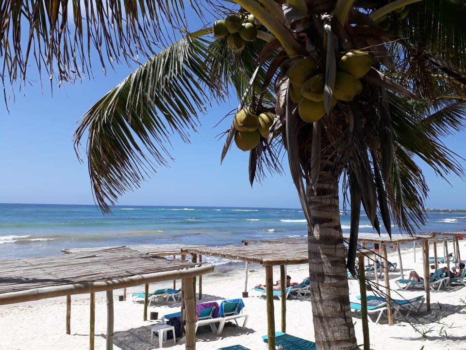 Strand Akumal Bay Beach & Wellness Resort