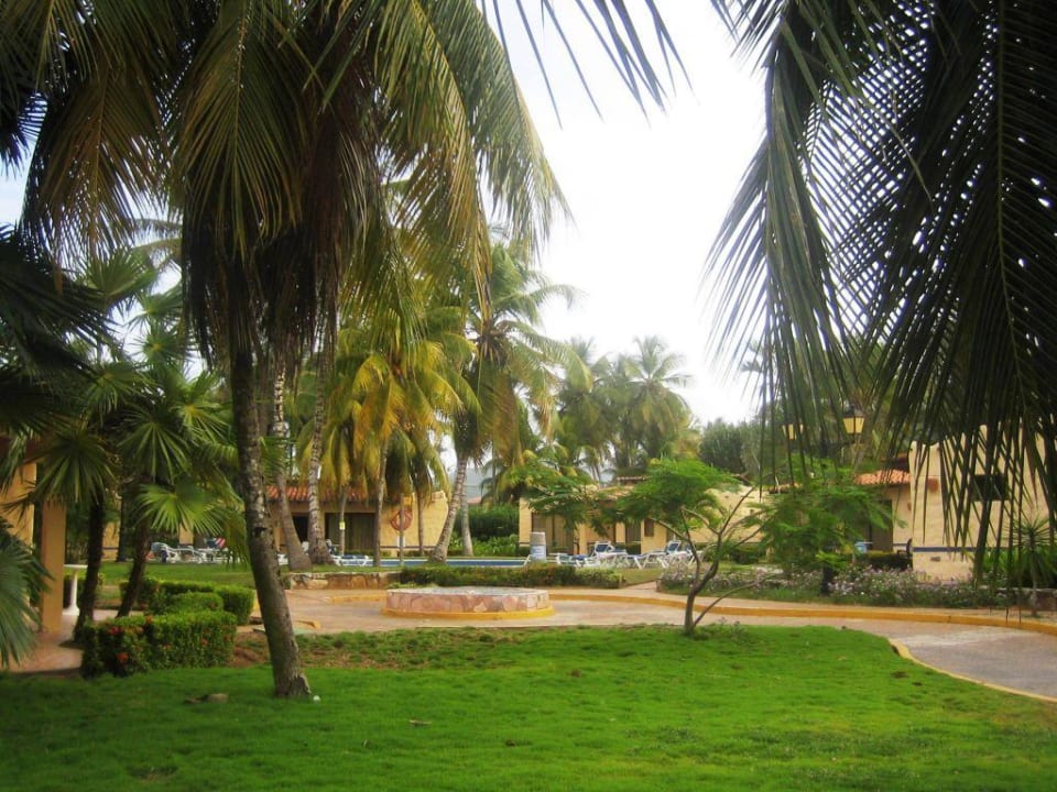 Bungalow's mit Pool Hotel Hesperia Playa el Aqua Beach