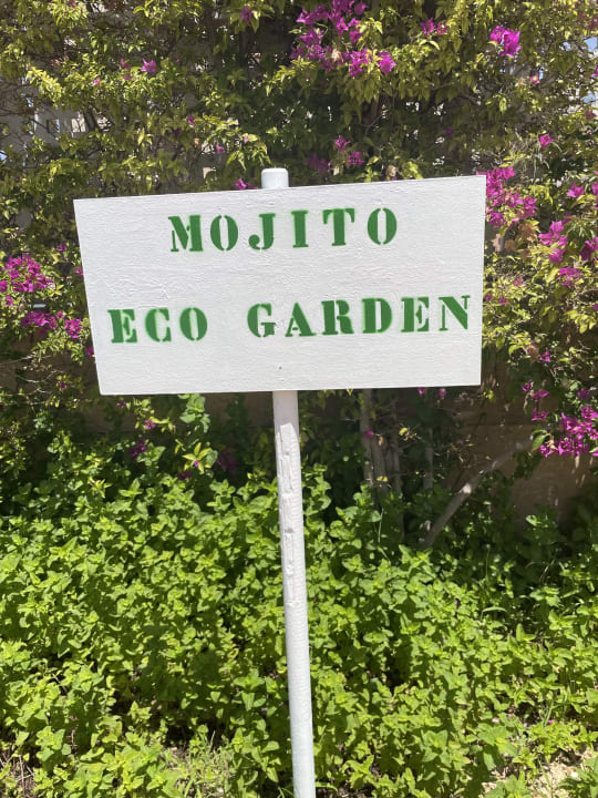 Gartenanlage Grupotel Playa de Palma Suites & Spa