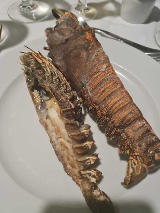 Gastro Hotel Riu Jambo