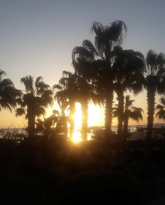 Ausblick Lotus Bay Beach Resort