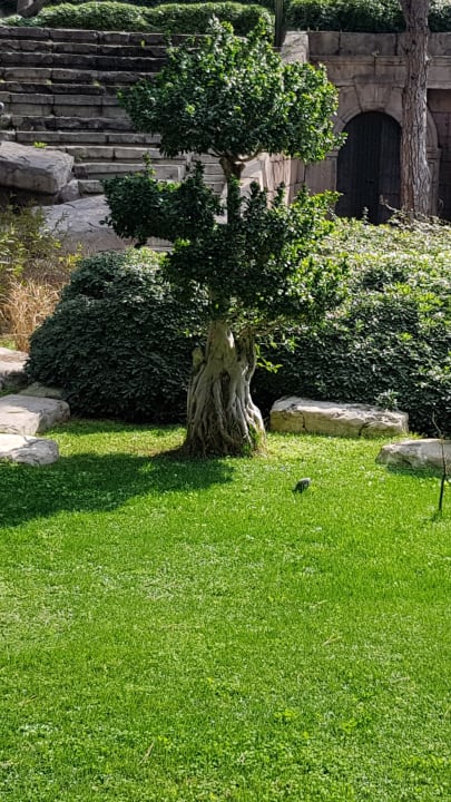 Garten Xanadu Resort Hotel