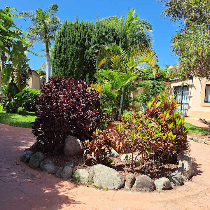 Gartenanlage allsun Hotel Esplendido