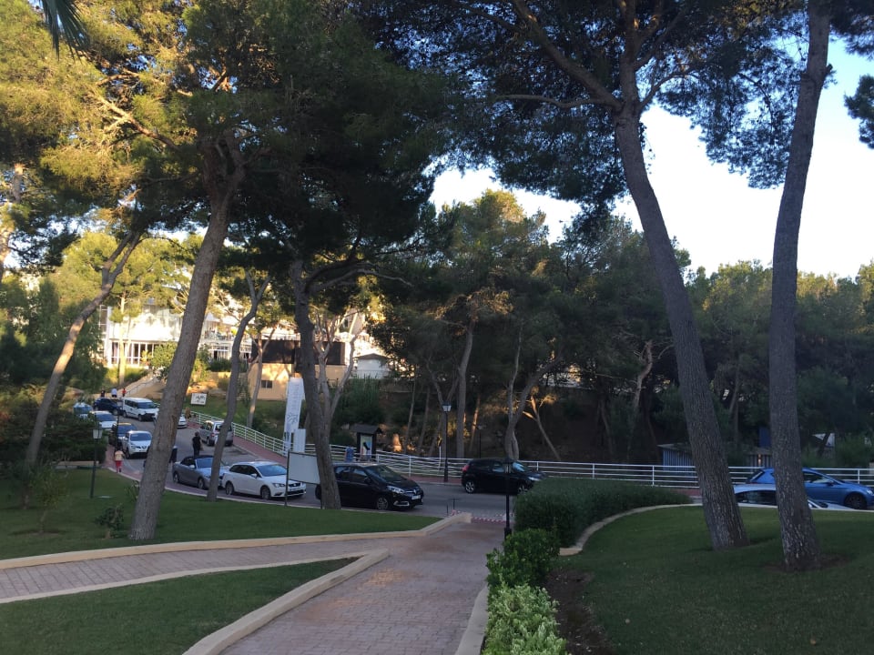 Weg zur Straße Iberostar Waves Club Cala Barca