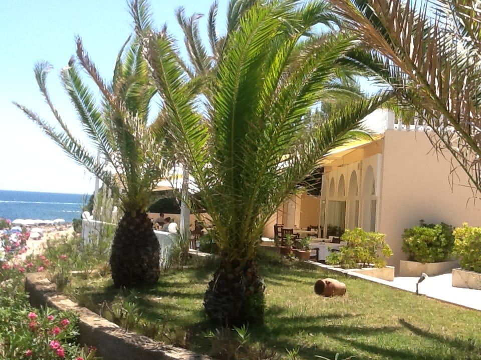 Außenansicht Hotel Terme di Palladium