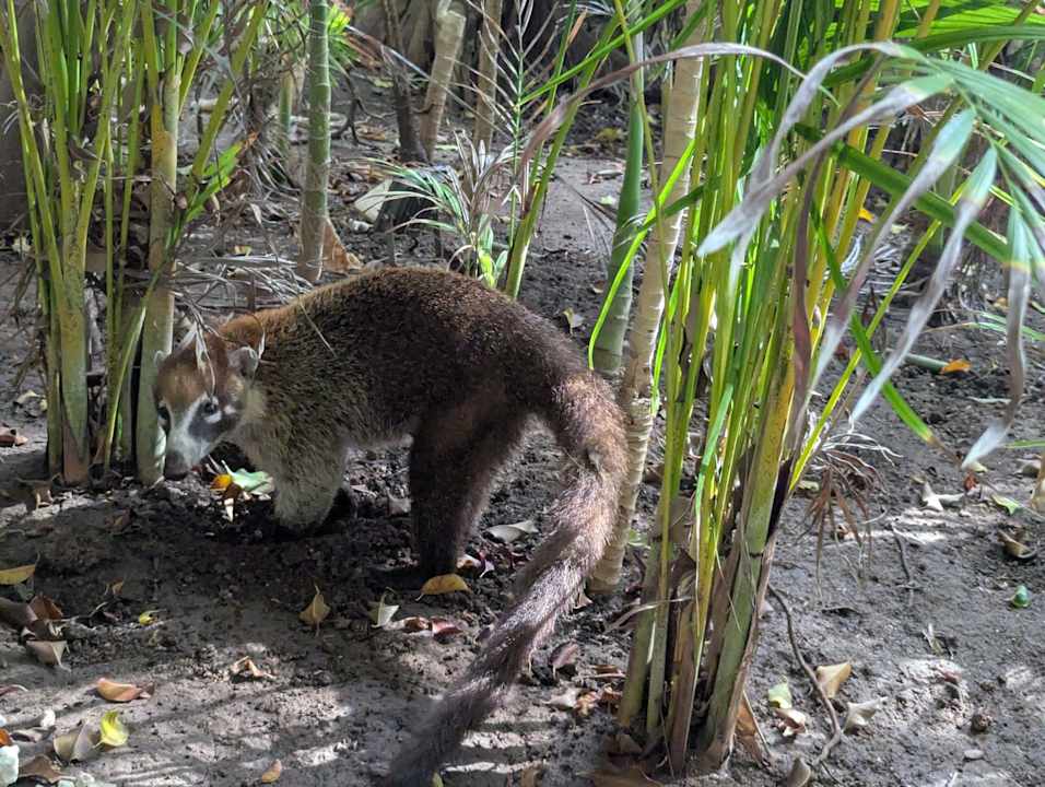 Sonstiges Viva Azteca by Wyndham - All Inclusive Resort