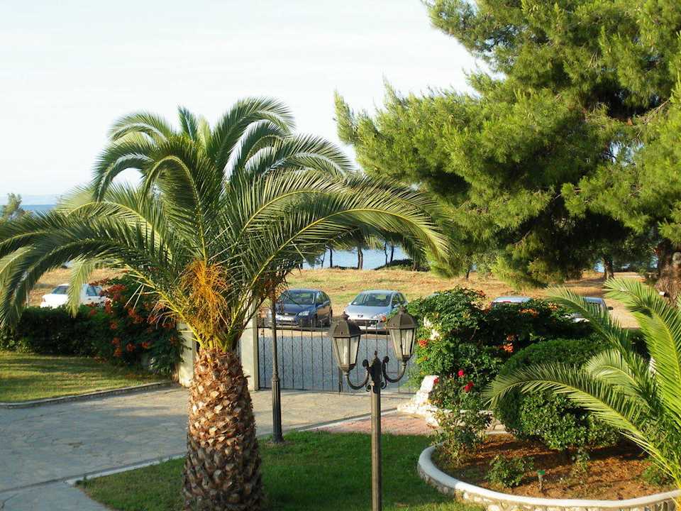 Blick aufs Meer vom Zimmer 262 Blue Dolphin Resort Hotel