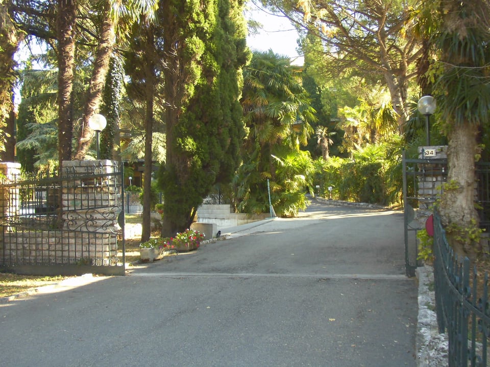 Gartenanlage Hotel Royal & Hotel Palme & Suite