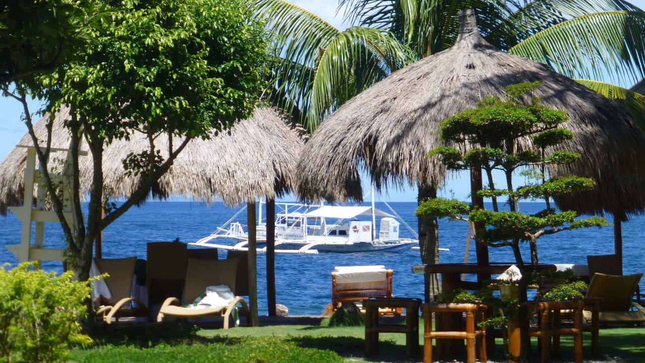 Garten / Strand Hotel Pura Vida