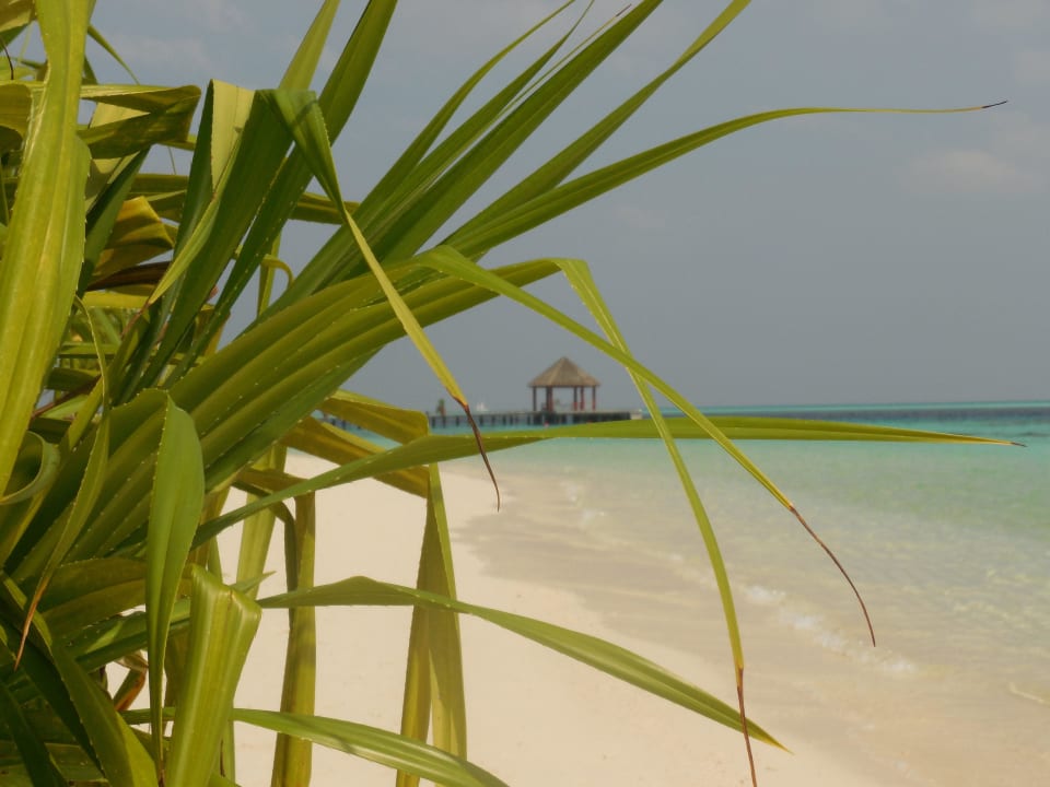 Paradies Komandoo Island Resort & Spa - Adults only
