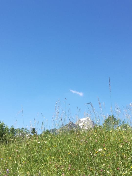 Ausblick Ferienhof Kreilgut