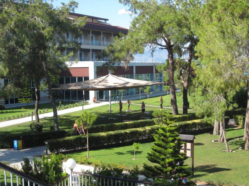 Steps aerobic Marvida Family Eco