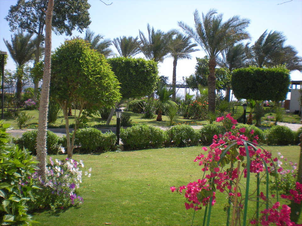 Вид из номера Sultan Gardens Resort