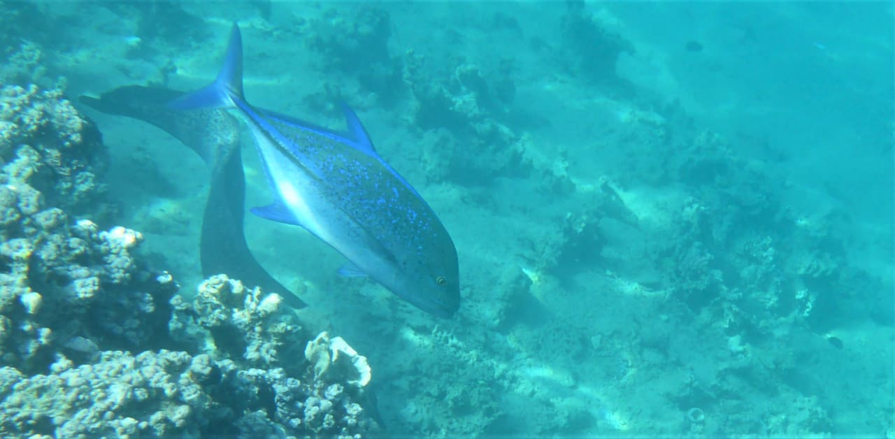 Sport & Freizeit Cleopatra Luxury Resort Makadi Bay